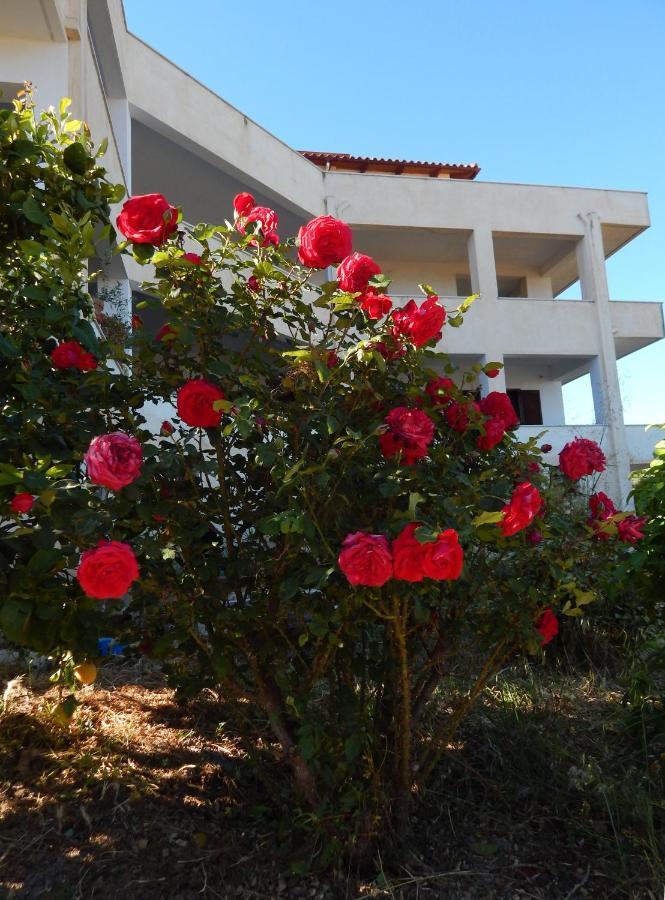 Appartamento Οδυσσεια, Κοντά Σε Αεροδρόμιο, Λιμάνια Και Θάλασσες Keratea Esterno foto