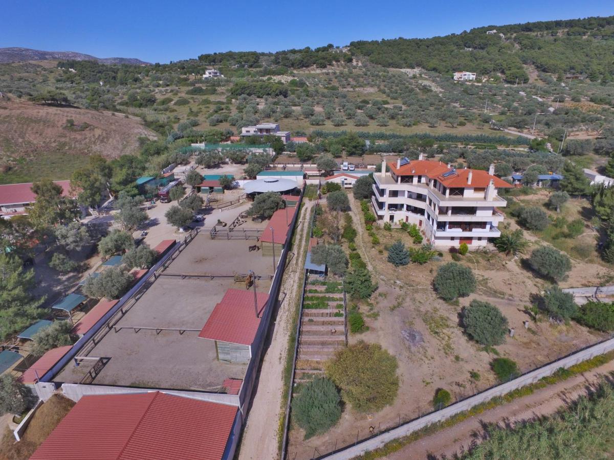 Appartamento Οδυσσεια, Κοντά Σε Αεροδρόμιο, Λιμάνια Και Θάλασσες Keratea Esterno foto